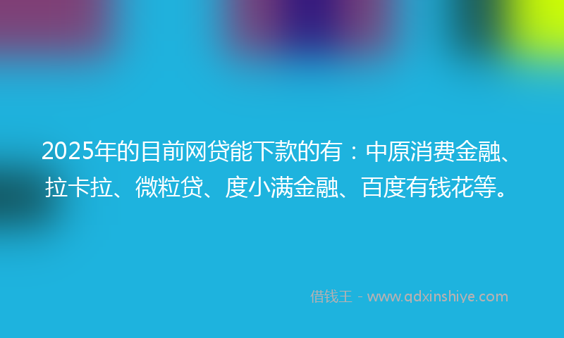 2025年的目前网贷能下款的有：中原消费金融、拉卡拉、微粒贷、度小满金融、百度有钱花等。
