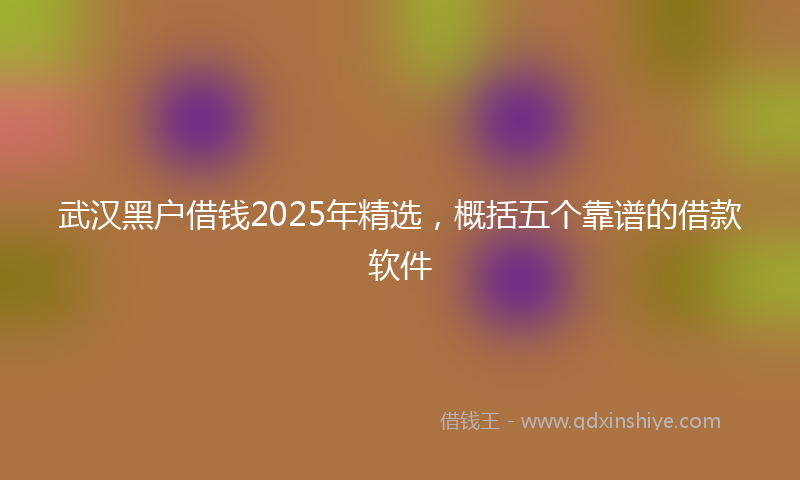 武汉黑户借钱2025年精选，概括五个靠谱的借款软件
