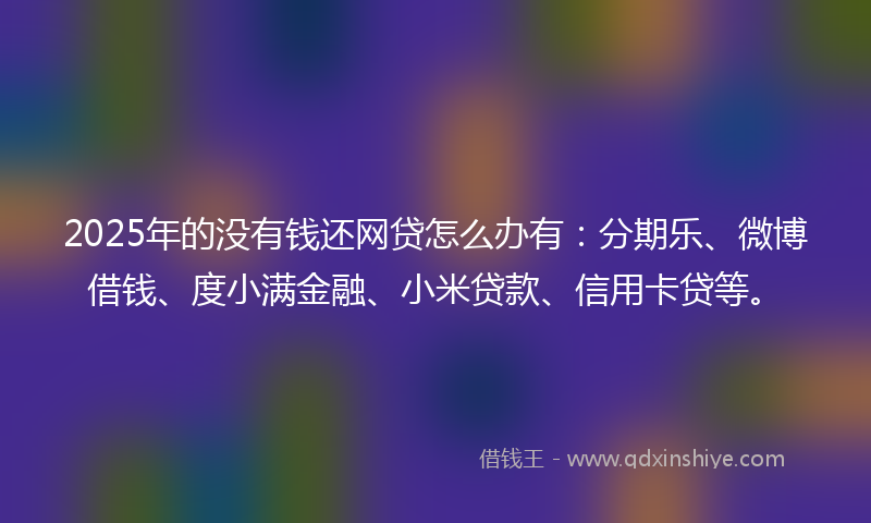 2025年的没有钱还网贷怎么办有：分期乐、微博借钱、度小满金融、小米贷款、信用卡贷等。