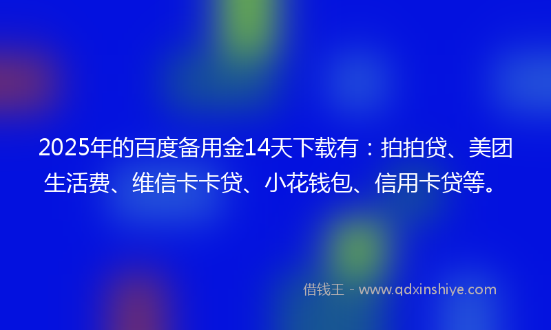 2025年的百度备用金14天下载有：拍拍贷、美团生活费、维信卡卡贷、小花钱包、信用卡贷等。