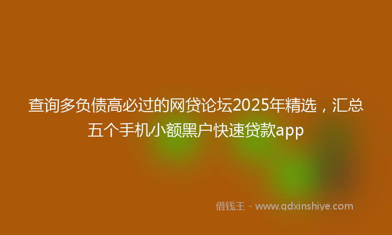 查询多负债高必过的网贷论坛2025年精选，汇总五个手机小额黑户快速贷款app