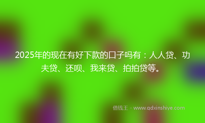 2025年的现在有好下款的口子吗有：人人贷、功夫贷、还呗、我来贷、拍拍贷等。