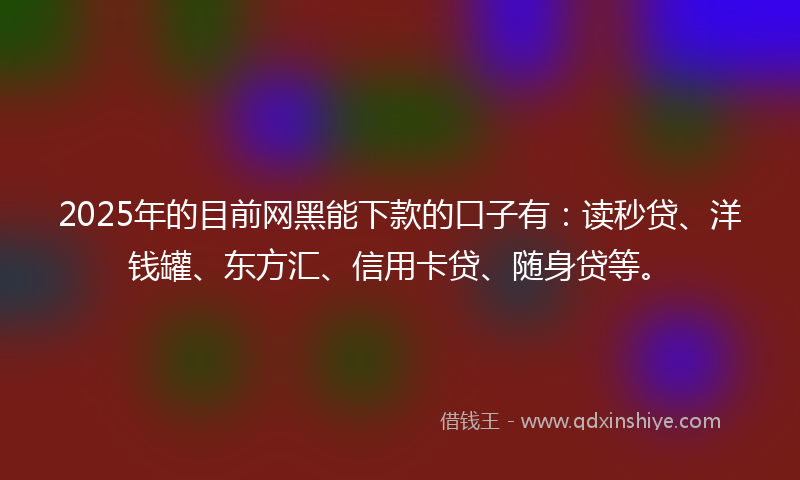 2025年的目前网黑能下款的口子有：读秒贷、洋钱罐、东方汇、信用卡贷、随身贷等。
