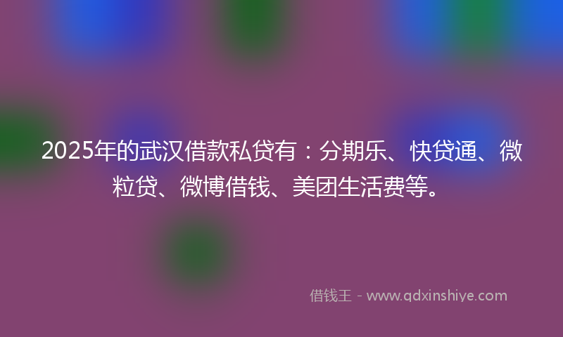 2025年的武汉借款私贷有：分期乐、快贷通、微粒贷、微博借钱、美团生活费等。