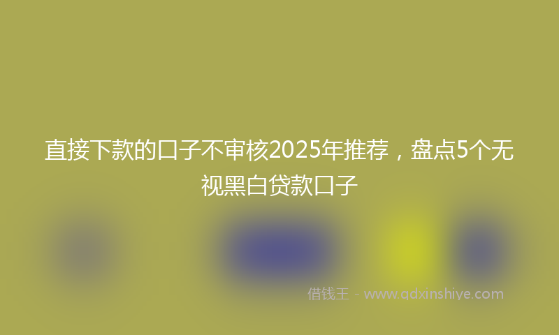 直接下款的口子不审核2025年推荐，盘点5个无视黑白贷款口子