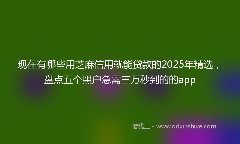 现在有哪些用芝麻信用就能贷款的2025年精选，盘点五个黑户急需三万秒到的的app