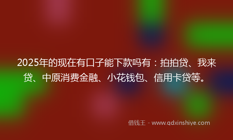 2025年的现在有口子能下款吗有：拍拍贷、我来贷、中原消费金融、小花钱包、信用卡贷等。