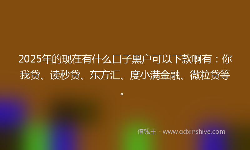 2025年的现在有什么口子黑户可以下款啊有：你我贷、读秒贷、东方汇、度小满金融、微粒贷等。