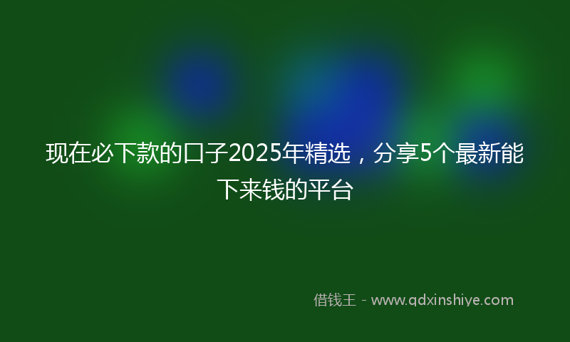 现在必下款的口子2025年精选，分享5个最新能下来钱的平台