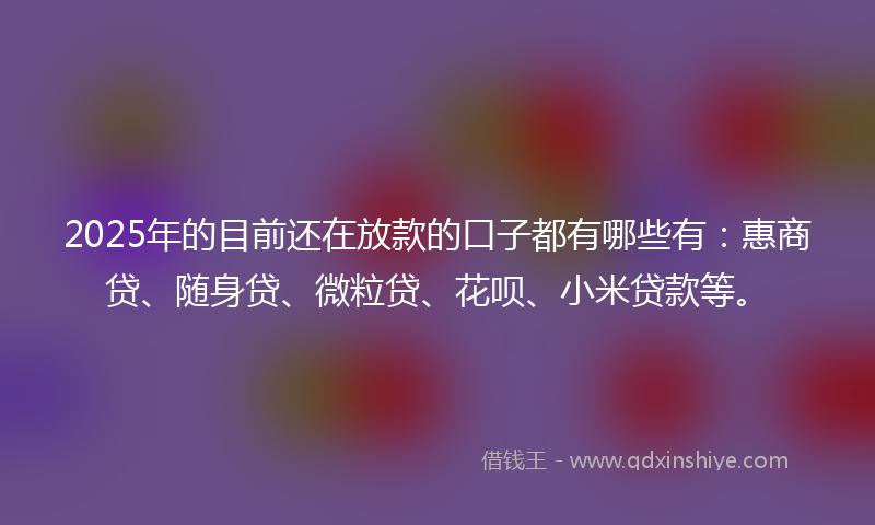 2025年的目前还在放款的口子都有哪些有：惠商贷、随身贷、微粒贷、花呗、小米贷款等。