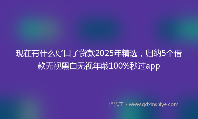 现在有什么好口子贷款2025年精选，归纳5个借款无视黑白无视年龄100%秒过app