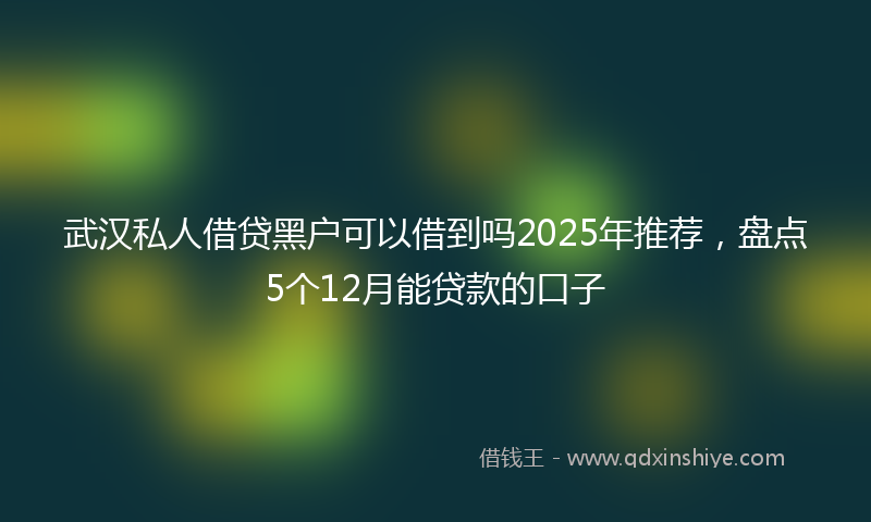 武汉私人借贷黑户可以借到吗2025年推荐，盘点5个12月能贷款的口子