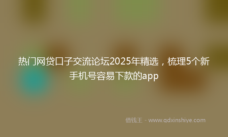 热门网贷口子交流论坛2025年精选，梳理5个新手机号容易下款的app