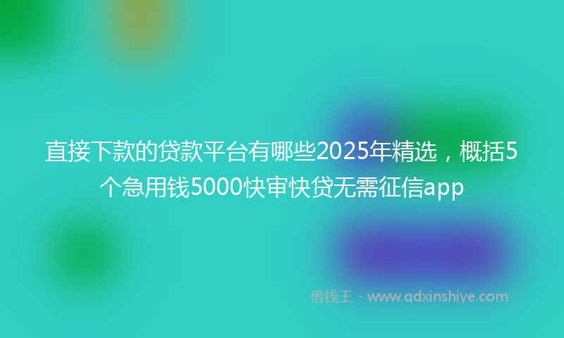 直接下款的贷款平台有哪些2025年精选，概括5个急用钱5000快审快贷无需征信app