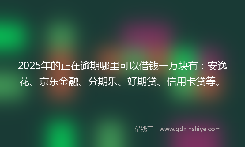 2025年的正在逾期哪里可以借钱一万块有：安逸花、京东金融、分期乐、好期贷、信用卡贷等。