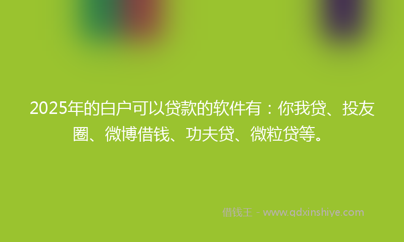 2025年的白户可以贷款的软件有：你我贷、投友圈、微博借钱、功夫贷、微粒贷等。