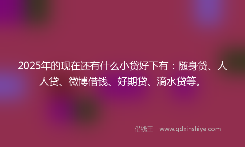 2025年的现在还有什么小贷好下有：随身贷、人人贷、微博借钱、好期贷、滴水贷等。