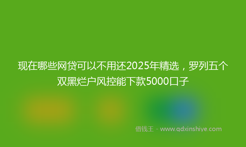 现在哪些网贷可以不用还2025年精选，罗列五个双黑烂户风控能下款5000口子