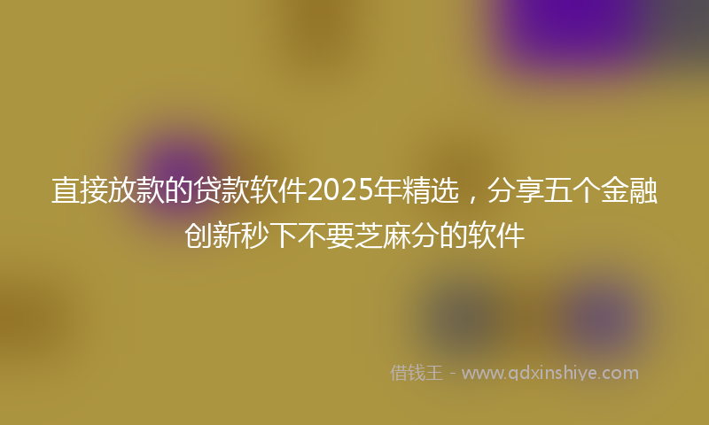 直接放款的贷款软件2025年精选，分享五个金融创新秒下不要芝麻分的软件