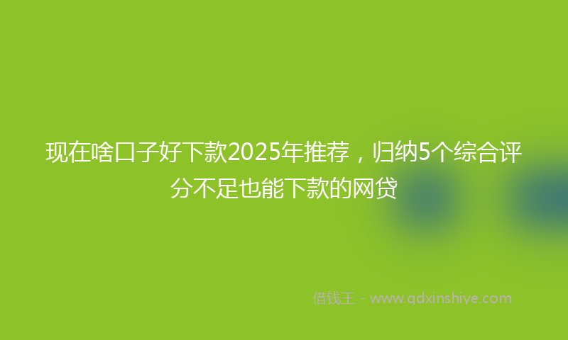 现在啥口子好下款2025年推荐，归纳5个综合评分不足也能下款的网贷