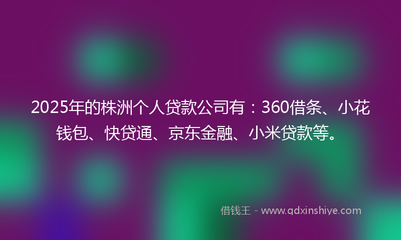 2025年的株洲个人贷款公司有：360借条、小花钱包、快贷通、京东金融、小米贷款等。