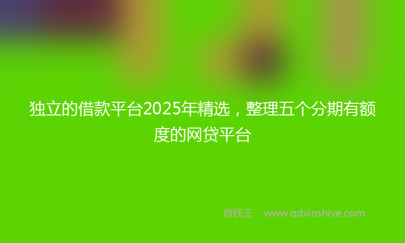 独立的借款平台2025年精选，整理五个分期有额度的网贷平台