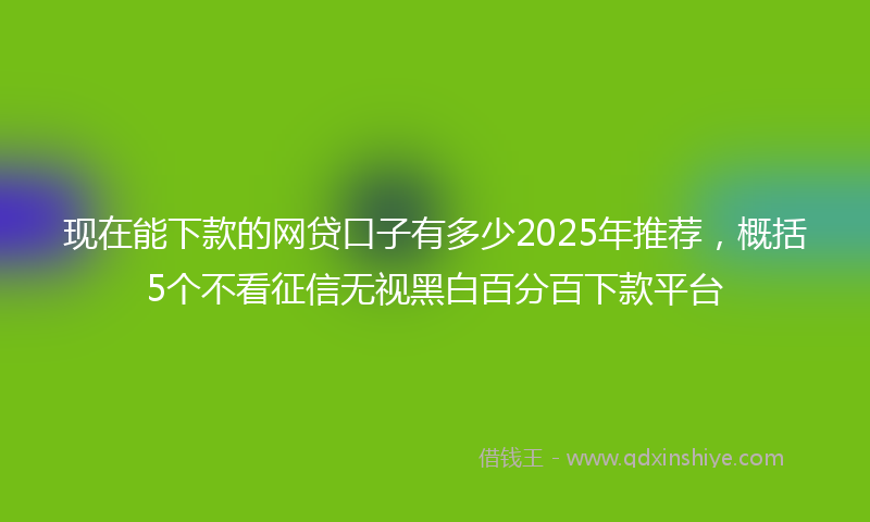 现在能下款的网贷口子有多少2025年推荐，概括5个不看征信无视黑白百分百下款平台