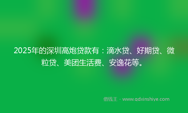 2025年的深圳高炮贷款有：滴水贷、好期贷、微粒贷、美团生活费、安逸花等。