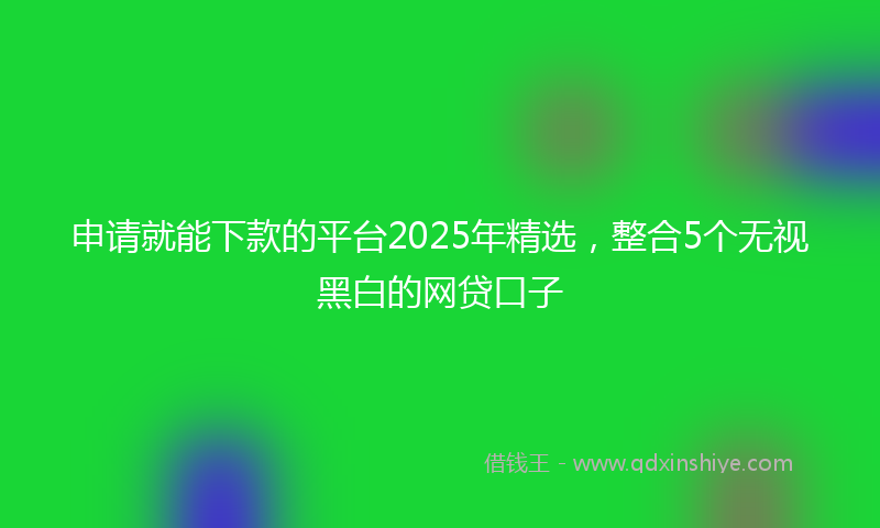 申请就能下款的平台2025年精选，整合5个无视黑白的网贷口子