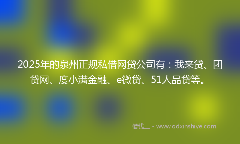 2025年的泉州正规私借网贷公司有：我来贷、团贷网、度小满金融、e微贷、51人品贷等。