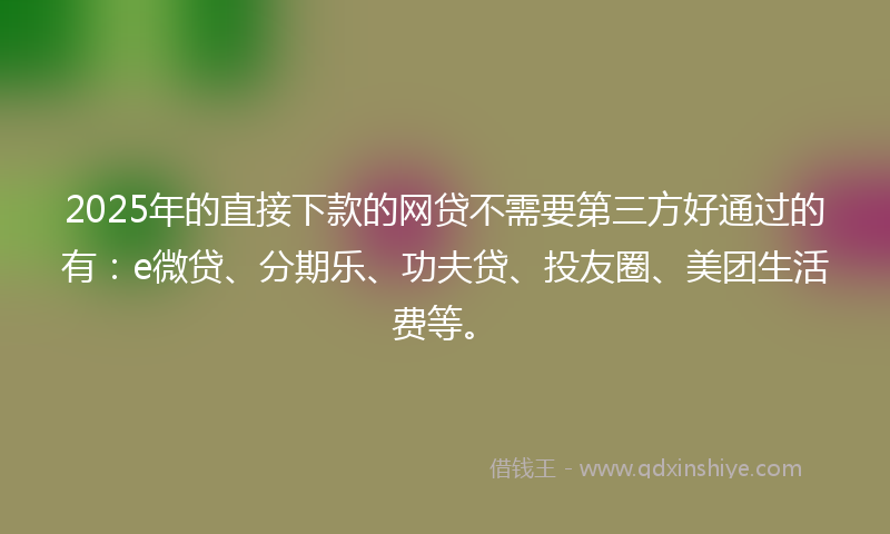 2025年的直接下款的网贷不需要第三方好通过的有：e微贷、分期乐、功夫贷、投友圈、美团生活费等。