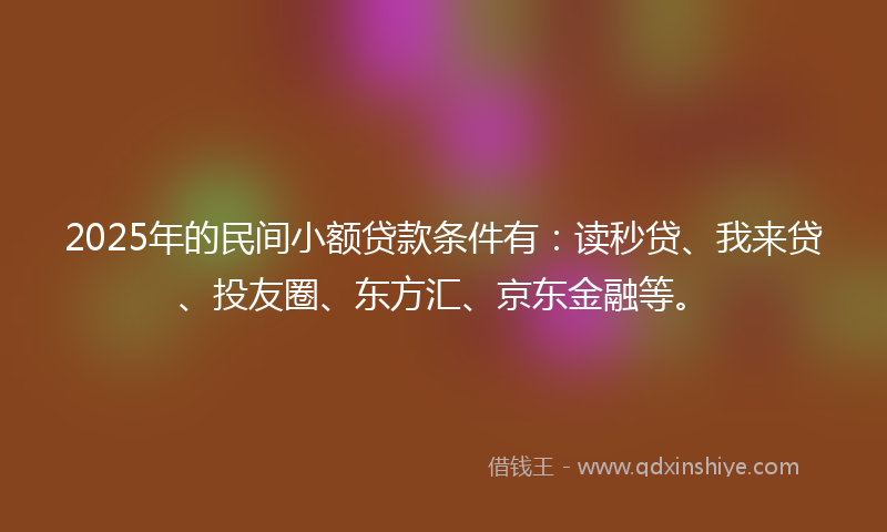 2025年的民间小额贷款条件有：读秒贷、我来贷、投友圈、东方汇、京东金融等。