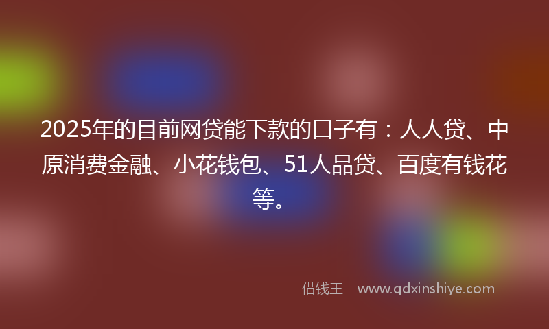 2025年的目前网贷能下款的口子有：人人贷、中原消费金融、小花钱包、51人品贷、百度有钱花等。