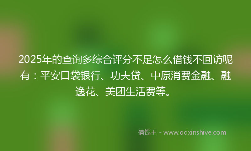 2025年的查询多综合评分不足怎么借钱不回访呢有：平安口袋银行、功夫贷、中原消费金融、融逸花、美团生活费等。