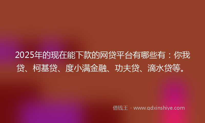 2025年的现在能下款的网贷平台有哪些有：你我贷、柯基贷、度小满金融、功夫贷、滴水贷等。