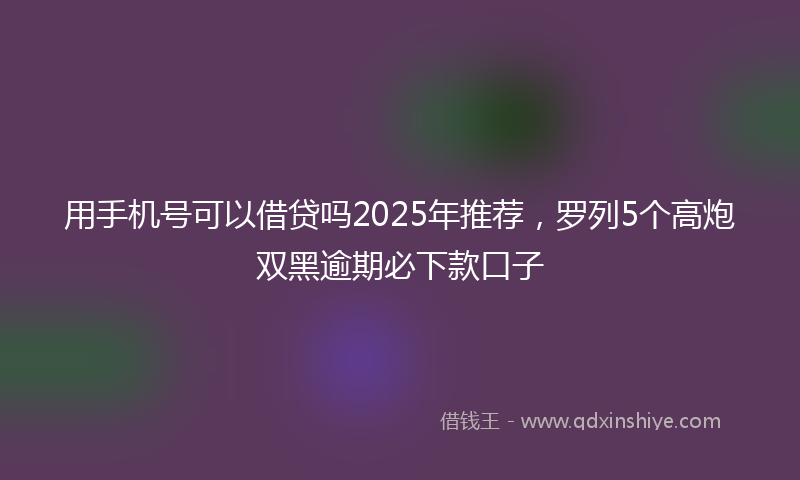 用手机号可以借贷吗2025年推荐，罗列5个高炮双黑逾期必下款口子