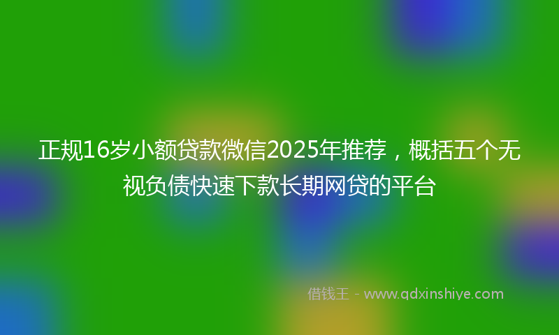 正规16岁小额贷款微信2025年推荐，概括五个无视负债快速下款长期网贷的平台