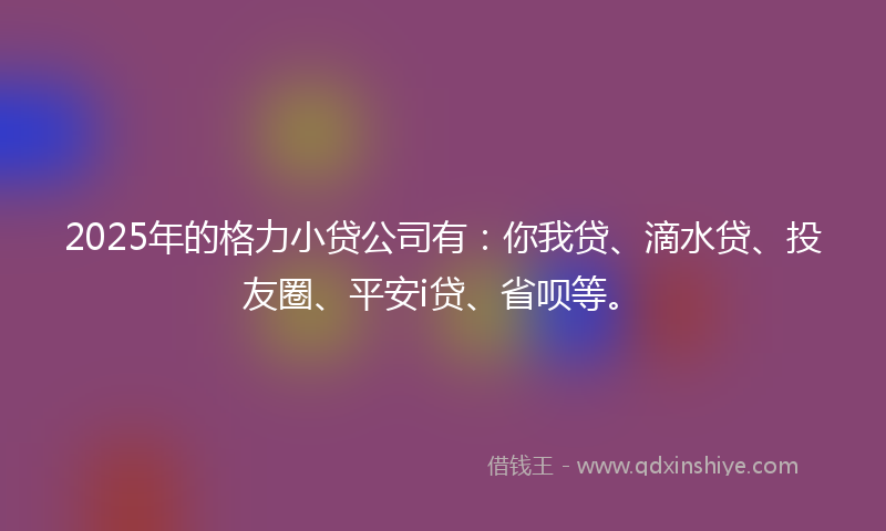 2025年的格力小贷公司有：你我贷、滴水贷、投友圈、平安i贷、省呗等。