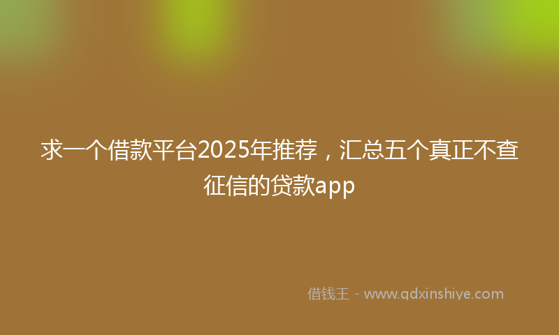 求一个借款平台2025年推荐，汇总五个真正不查征信的贷款app