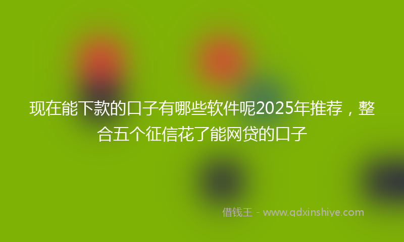 现在能下款的口子有哪些软件呢2025年推荐，整合五个征信花了能网贷的口子