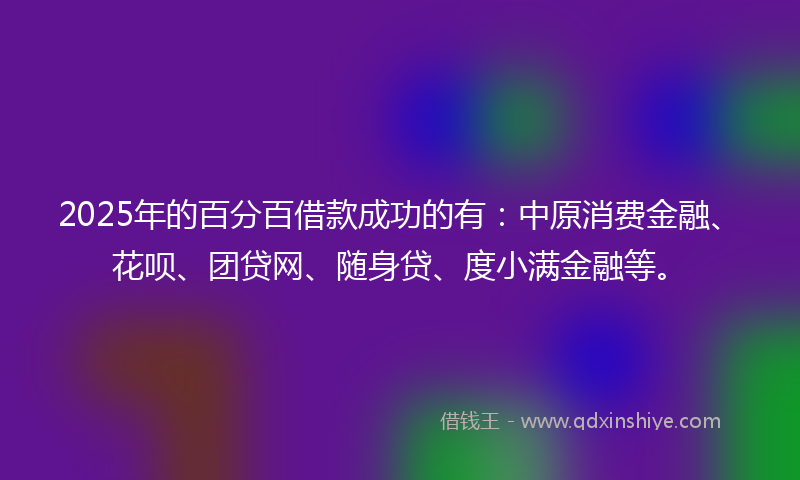 2025年的百分百借款成功的有：中原消费金融、花呗、团贷网、随身贷、度小满金融等。