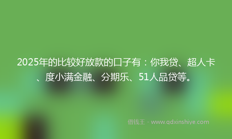 2025年的比较好放款的口子有：你我贷、超人卡、度小满金融、分期乐、51人品贷等。