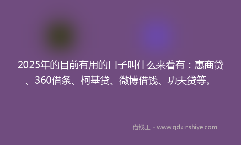 2025年的目前有用的口子叫什么来着有：惠商贷、360借条、柯基贷、微博借钱、功夫贷等。