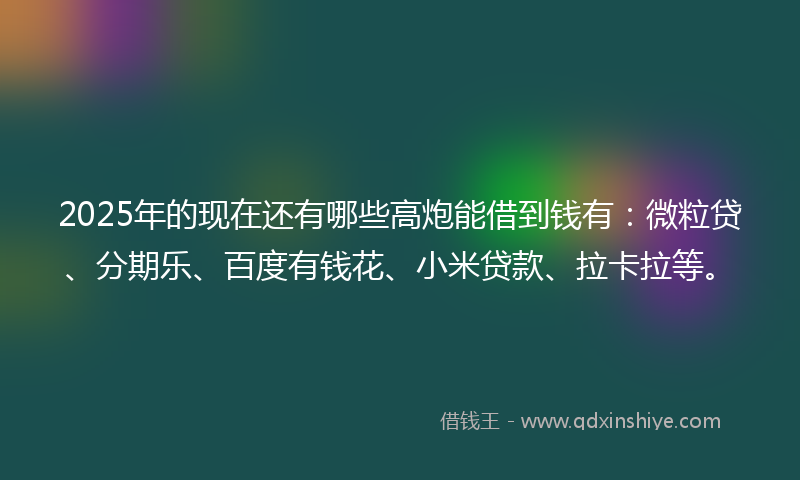 2025年的现在还有哪些高炮能借到钱有：微粒贷、分期乐、百度有钱花、小米贷款、拉卡拉等。