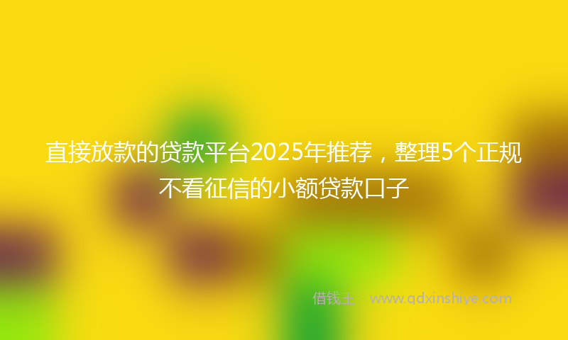 直接放款的贷款平台2025年推荐，整理5个正规不看征信的小额贷款口子