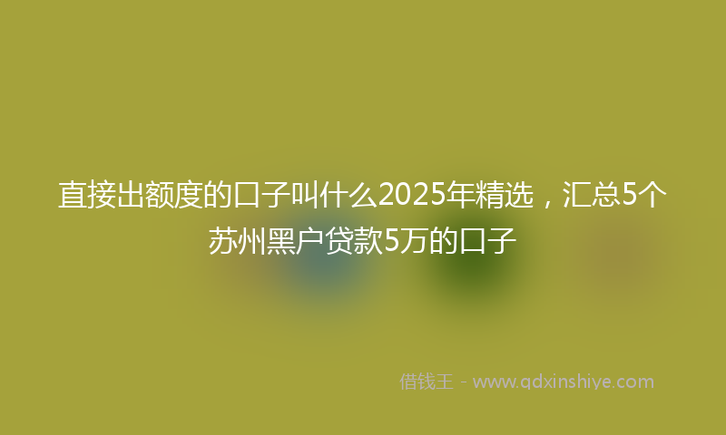 直接出额度的口子叫什么2025年精选，汇总5个苏州黑户贷款5万的口子