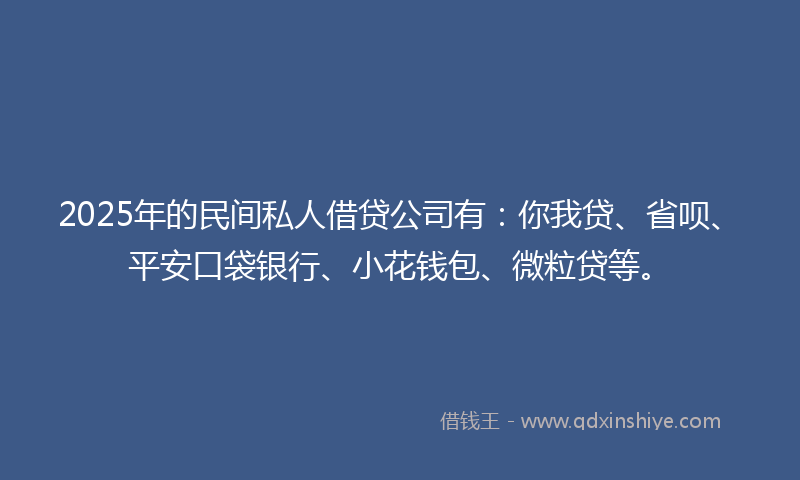 2025年的民间私人借贷公司有：你我贷、省呗、平安口袋银行、小花钱包、微粒贷等。