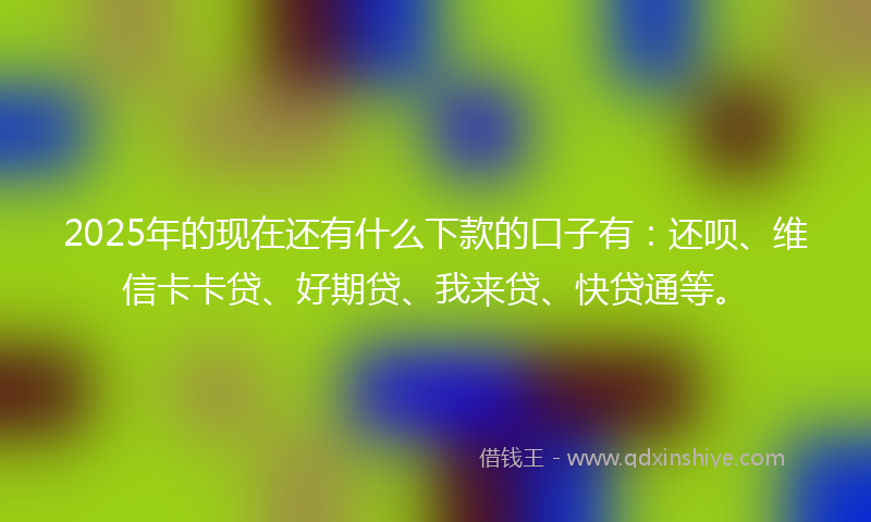 2025年的现在还有什么下款的口子有：还呗、维信卡卡贷、好期贷、我来贷、快贷通等。