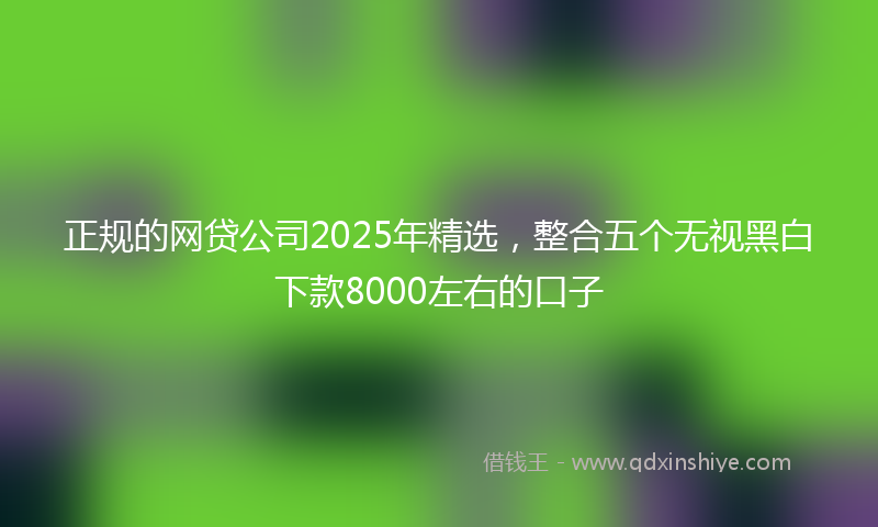 正规的网贷公司2025年精选，整合五个无视黑白下款8000左右的口子