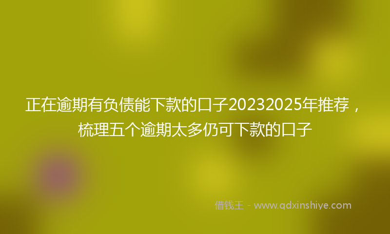 正在逾期有负债能下款的口子20232025年推荐，梳理五个逾期太多仍可下款的口子